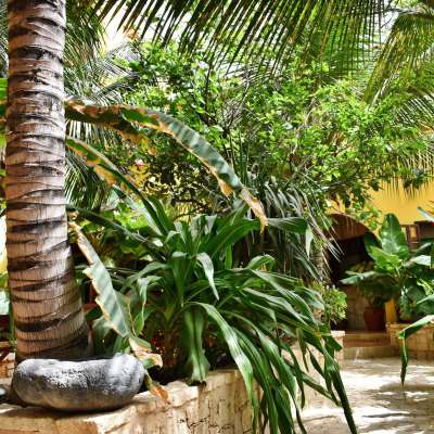 Kopp Tours | Guesthouse Orquidea