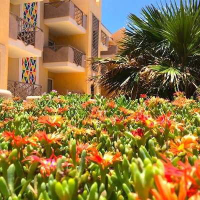 Kopp Tours | Ferienwohnung Tropical Resort