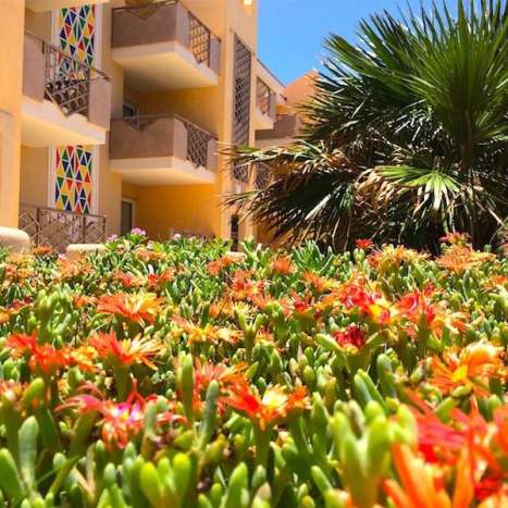 Kopp Tours | Ferienwohnung Tropical Resort