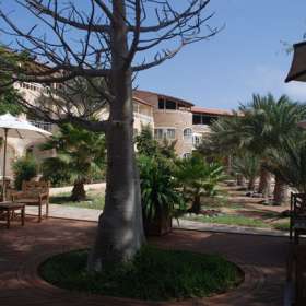 Kopp Tours | Hotel Morabeza