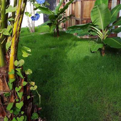 Kopp Tours | Terra Lodge