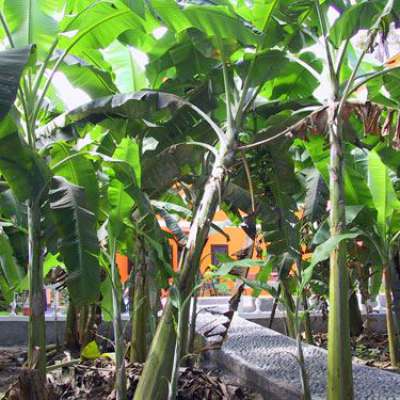 Kopp Tours | Pension Aldeia Jerome