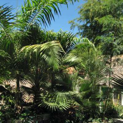 Kopp Tours | Mar Tranquilidade