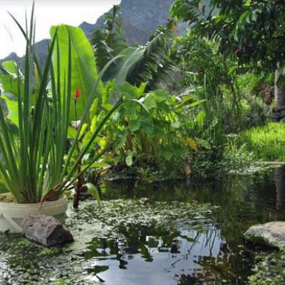 Kopp Tours | Casa Cavoquinho