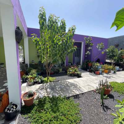 Kopp Tours | Casa Lavra