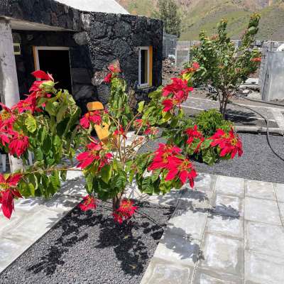 Kopp Tours | Casa Lavra