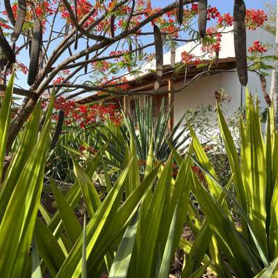 La Fora Ecolodge | Kopp Tours