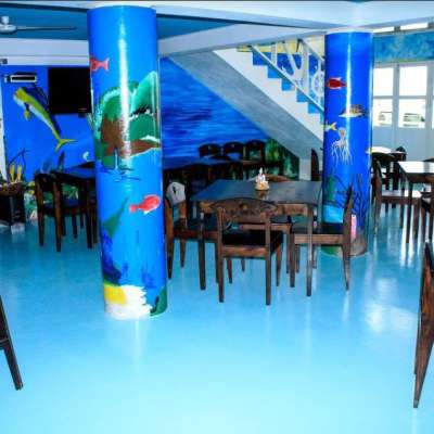 Kopp Tours | Big Game