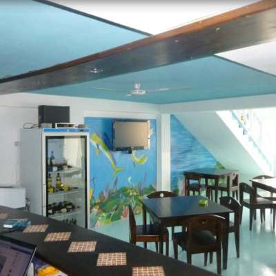 Kopp Tours | Big Game