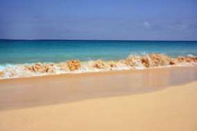 Kopp Tours | Maio Kopp Tours | Maio