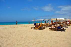 Kopp Tours | Sal Kopp Tours | Sal