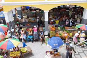 Kopp Tours | Santiago Kopp Tours | Santiago