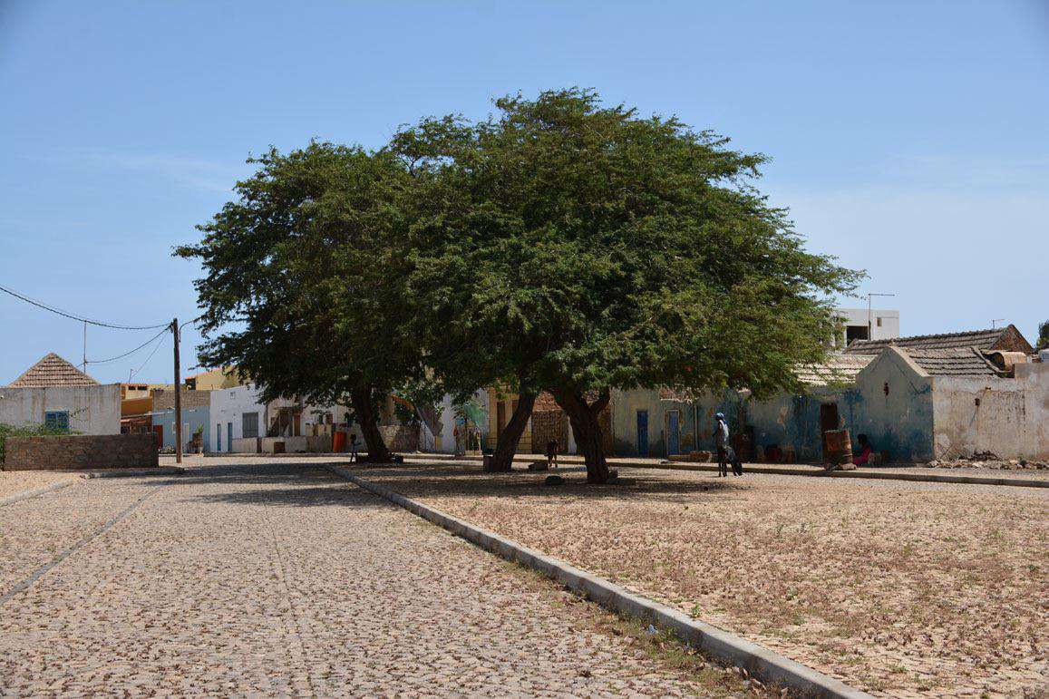 Kopp Tours | Kapverden Inseltour Maio