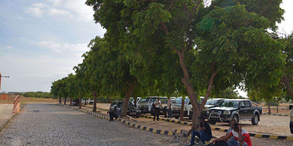 Kopp Tours | Kapverden Insel Maio Kopp Tours | Kapverden Insel Maio