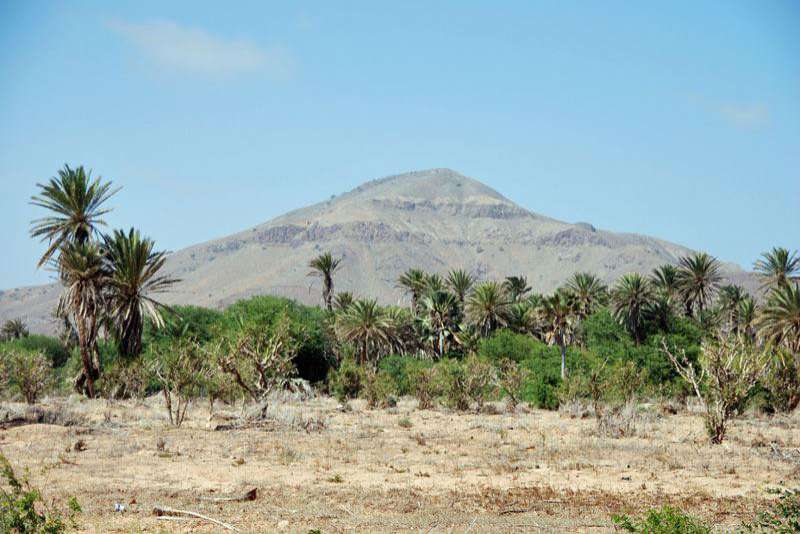 Kopp Tours | Kapverden - Insel Boa Vista 