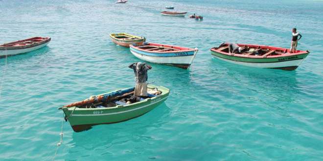 Kopp Tours | Kapverden - Sal - Fischer