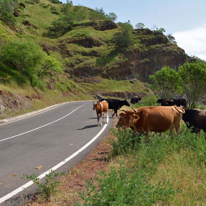 Kopp Tours | Kapverden - Insel Santiago