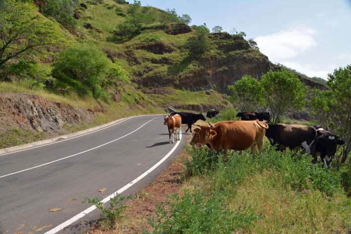 Kopp Tours | Kapverden - Insel Santiago