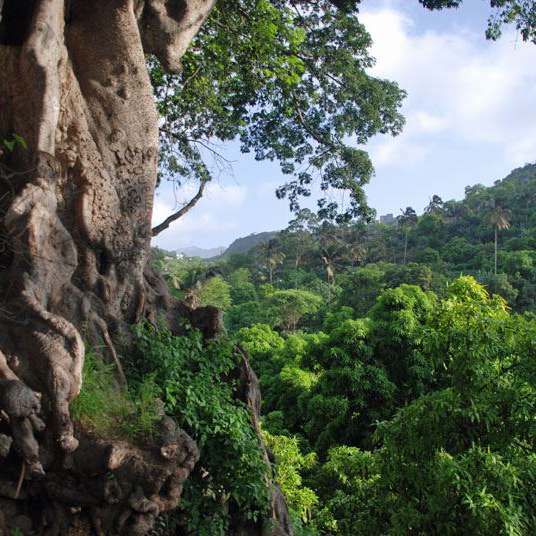 Kopp Tours | Kapverden - Insel Santiago