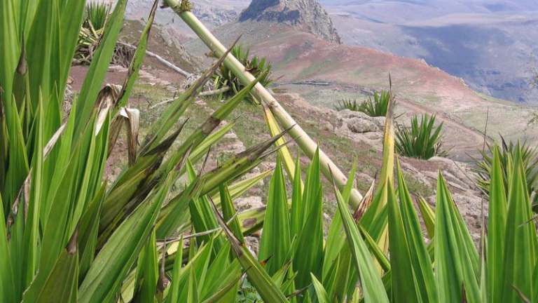 Kopp Tours | Kapverden - Insel São Nicolau