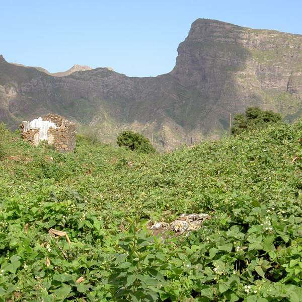 Kopp Tours | Kapverden - Insel São Nicolau