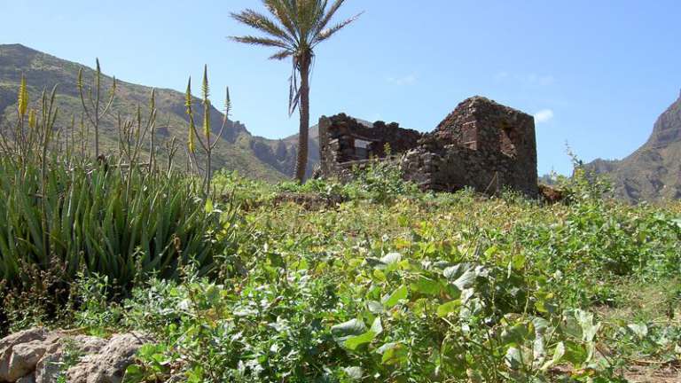 Kopp Tours | Kapverden - Insel São Nicolau